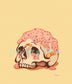 Funfetti Skull Cake matte print