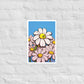 Daisy Field matte print illustration